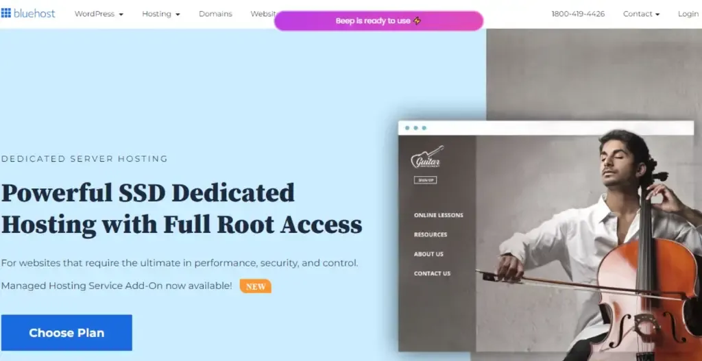 Bluehost : Dedicated Server