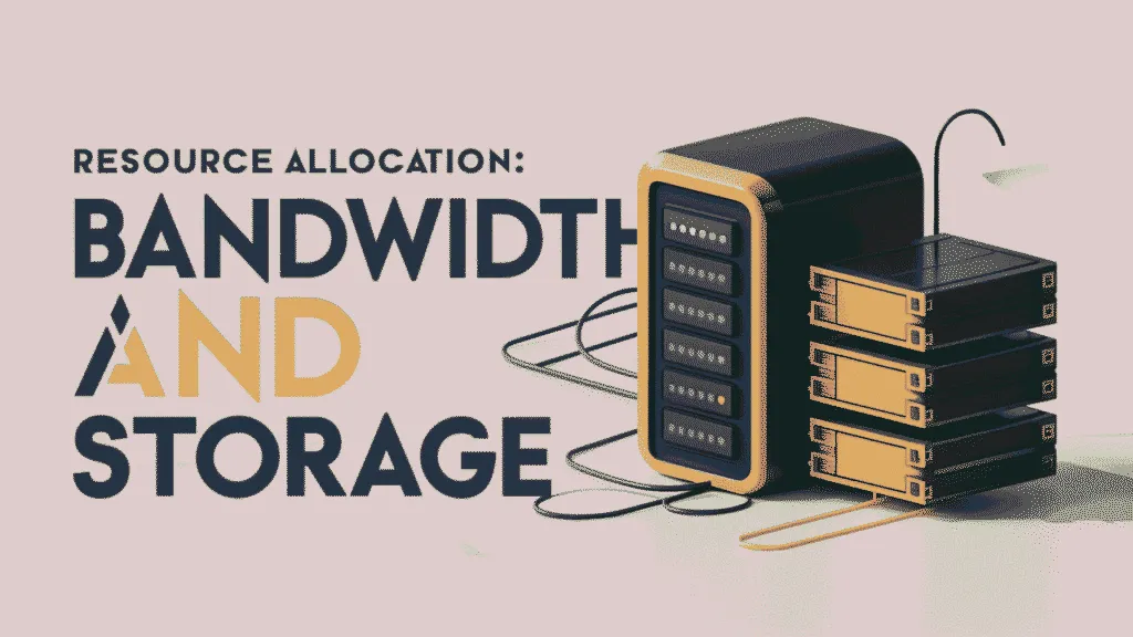 Resource Allocation: Bandwidth and Storage