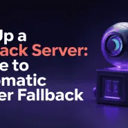 Fallback Server